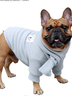 iChoue Tan Dog sweater & scarf set- Like/Make an offer for discounted shipping!
